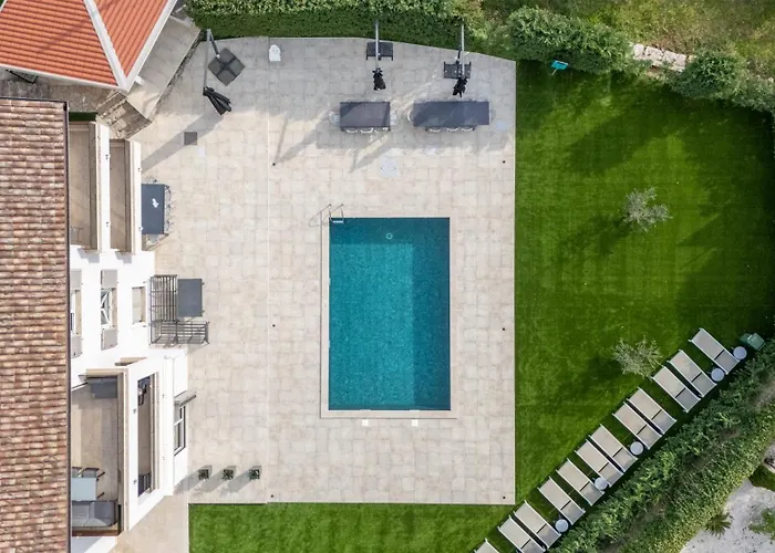 Visore - Renea 오파티아