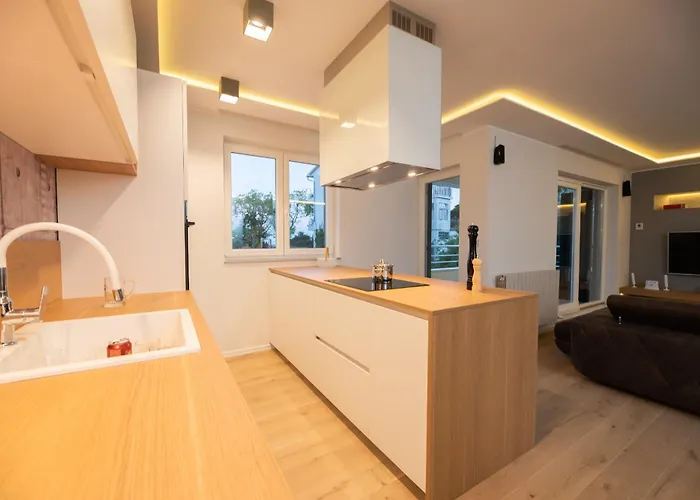 Visore - Renea * אופטיה